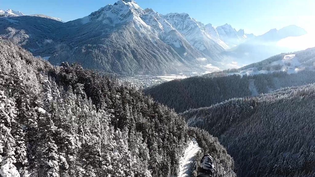 Winterflug über verschneitem Wald